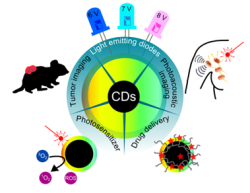 The main applications of carbon quantum dots.