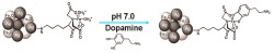 Schematické znázornění vazby dopaminu na nanokompozit magnetite@carboxymethyl chitosan@Ag@Fe-nitriloacetic acid využívaného pro selektivní stanovení dopaminu.